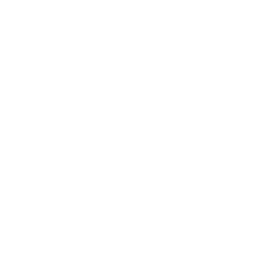 OnChainMonkey